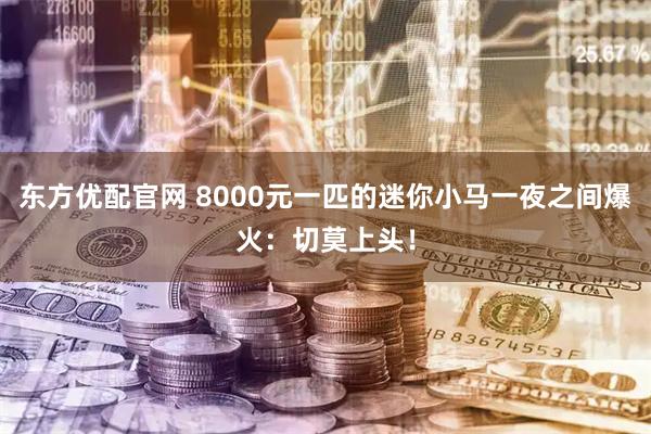 东方优配官网 8000元一匹的迷你小马一夜之间爆火：切莫上头！