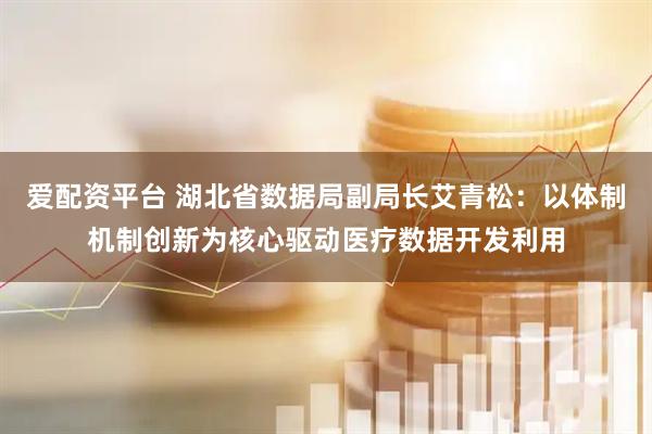 爱配资平台 湖北省数据局副局长艾青松：以体制机制创新为核心驱动医疗数据开发利用