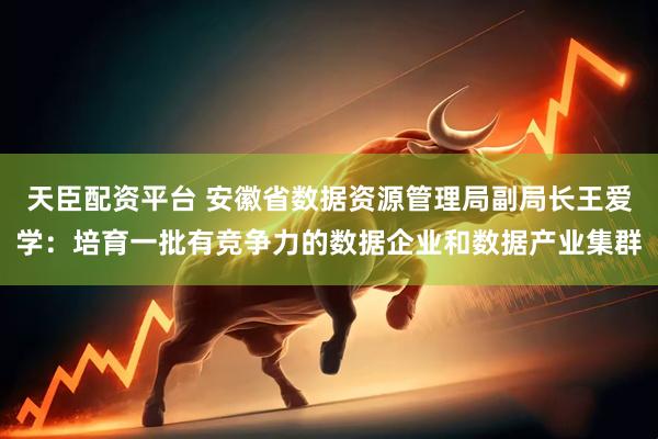 天臣配资平台 安徽省数据资源管理局副局长王爱学：培育一批有竞争力的数据企业和数据产业集群