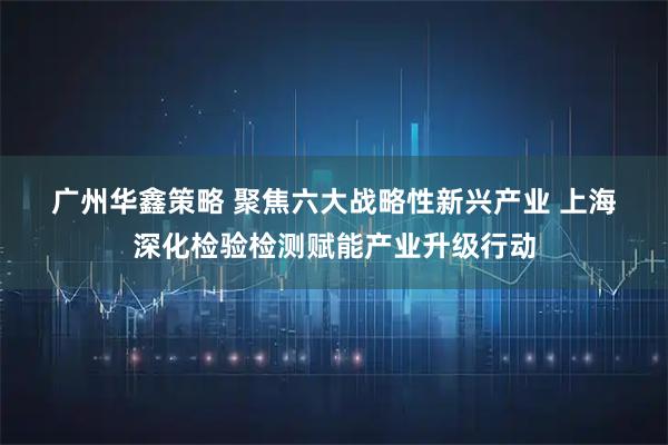 广州华鑫策略 聚焦六大战略性新兴产业 上海深化检验检测赋能产业升级行动